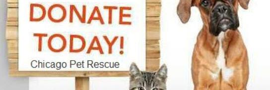 Chicago Pet Rescue banner