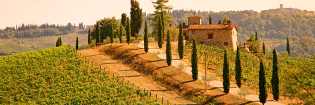 Tuscany Bob Stoops banner