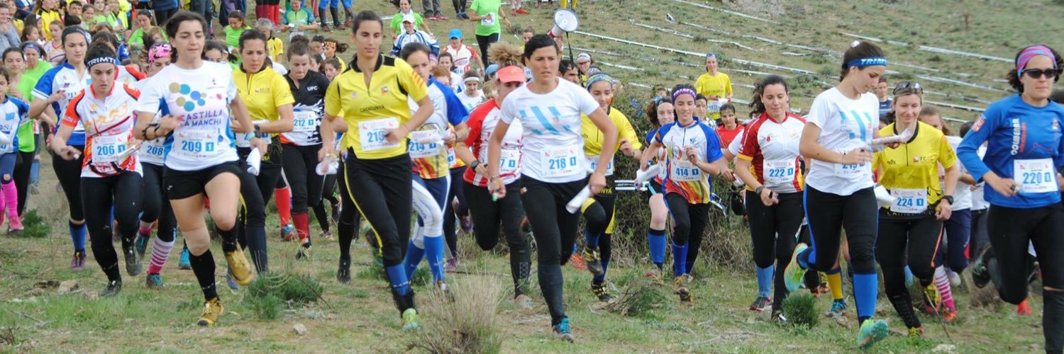 Tere Bellón banner