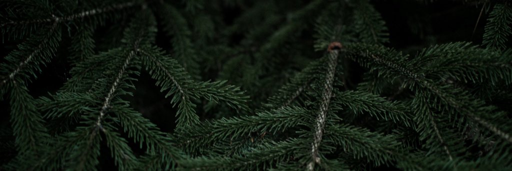 TheLeaMorgane's profile banner image
