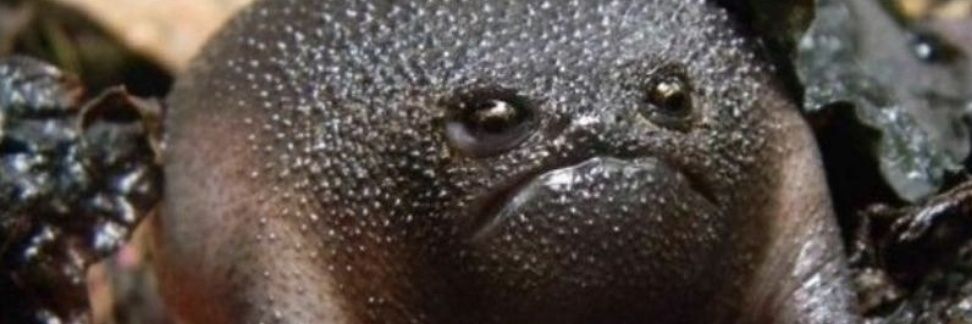 juniper_eccles's profile banner image