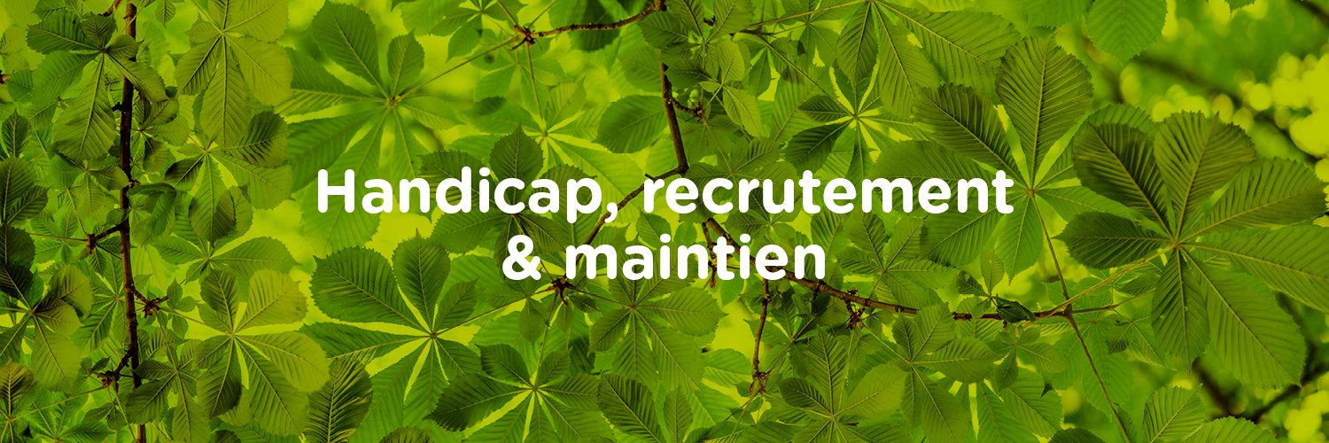 Cap Emploi banner
