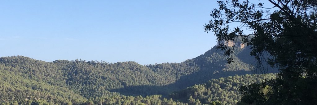 EliBiosca's profile banner image