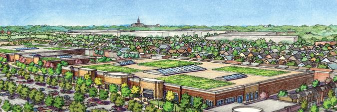 Anthony Beale banner