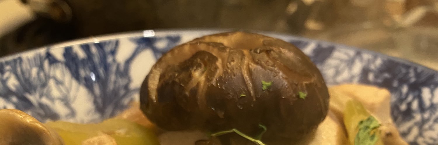 stephanie obrien banner