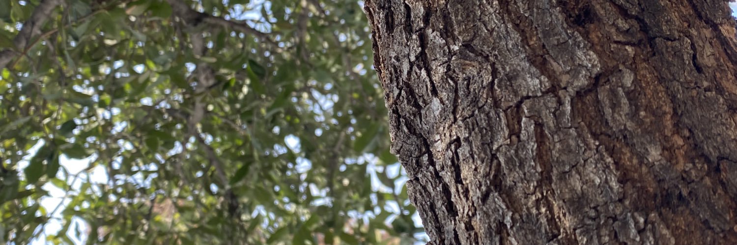 _emgi's profile banner image