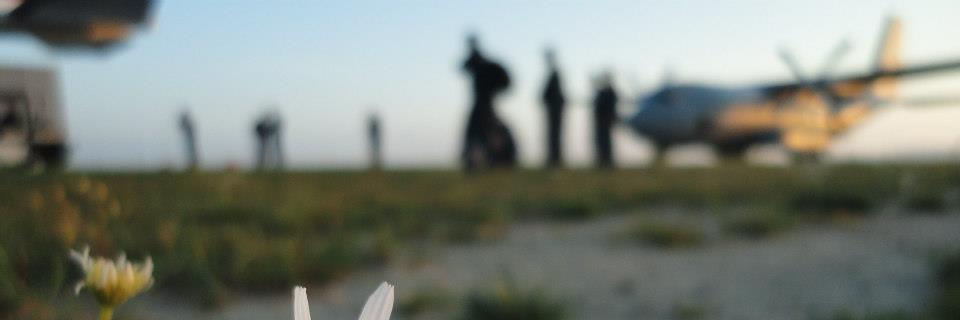 esgrafi's profile banner image
