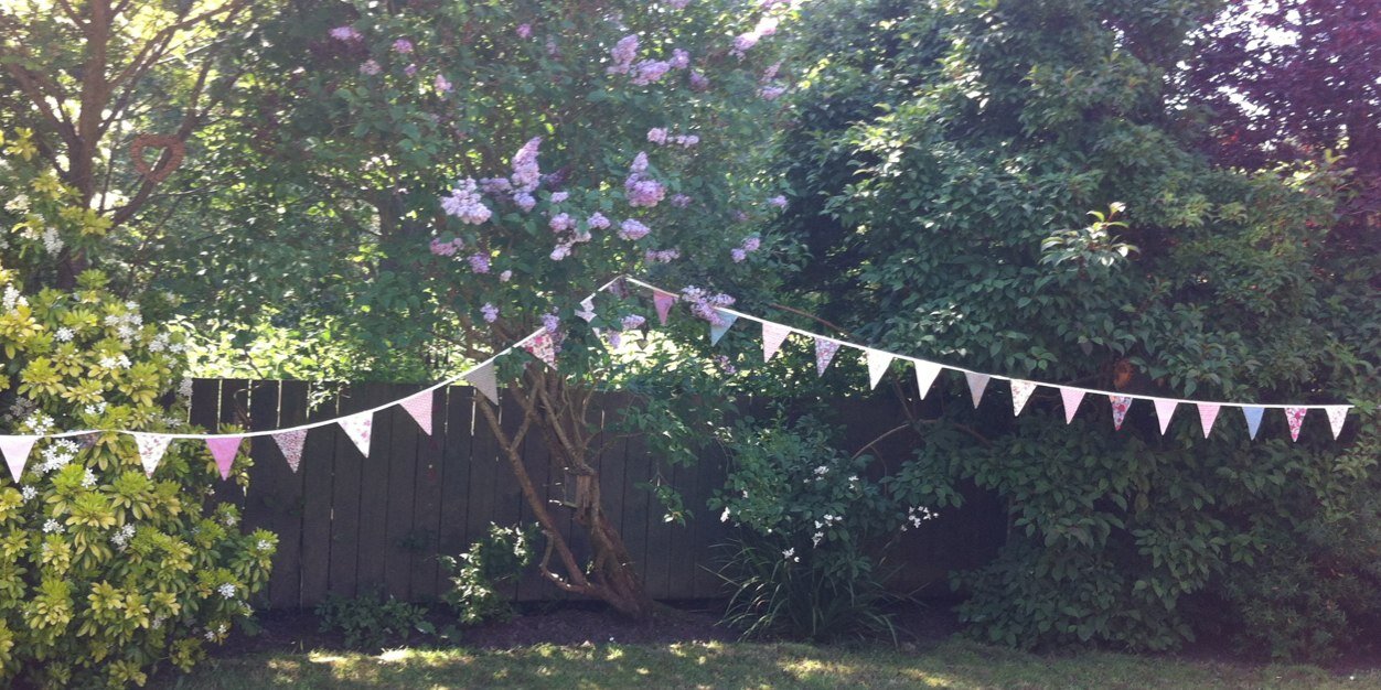 Dr Suzanne Beech banner