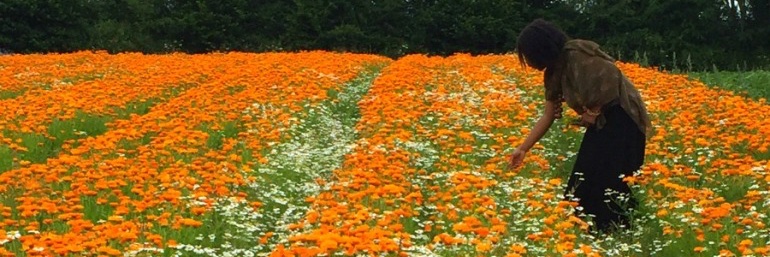 WonderlustingLynda banner