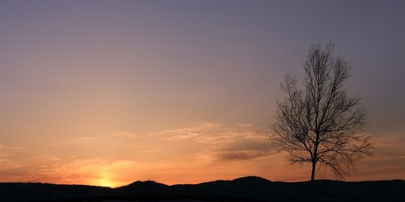 Dis_monyoko's profile banner image