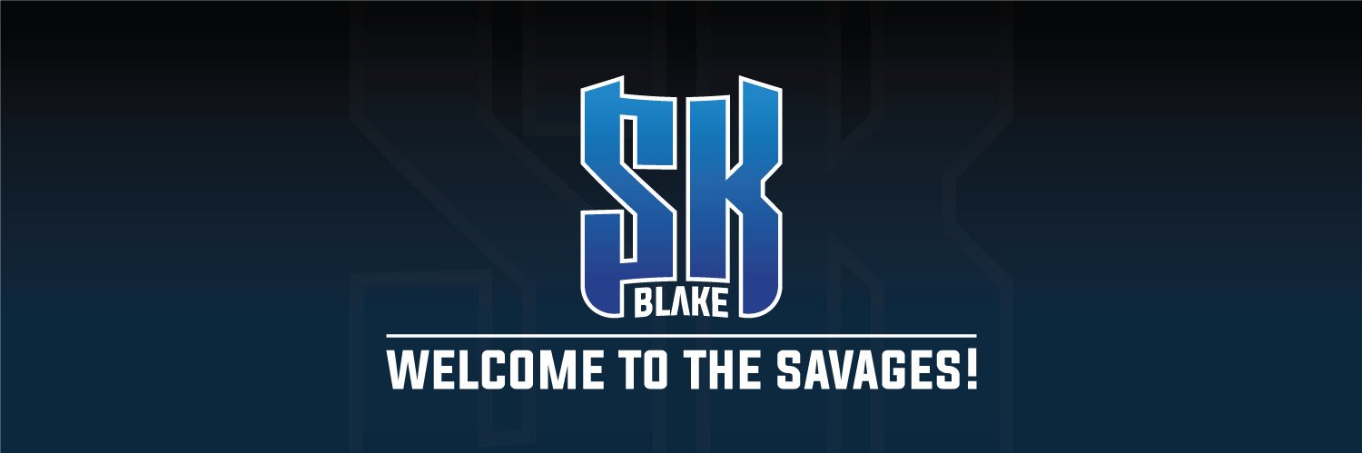 Its_SK_Blake's profile banner image
