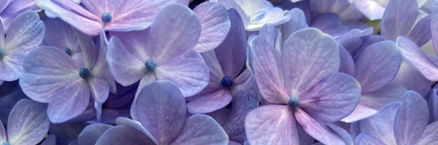 Frances Gabriela banner