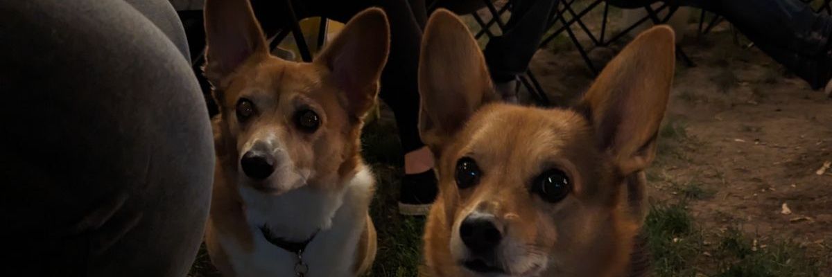 jackpotter26's profile banner image
