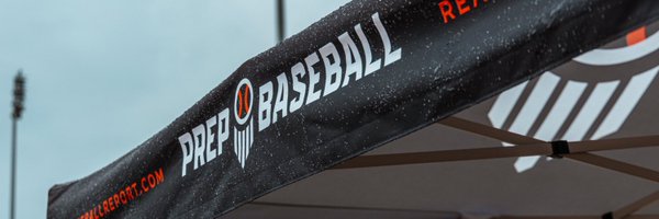 LedgerPBR Profile Banner