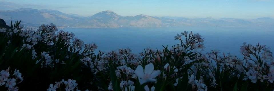 fionascarpa's profile banner image