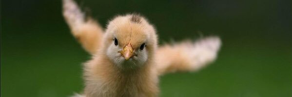 JackDegg's profile banner image