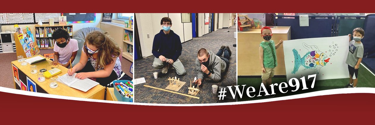 Intermediate School District 917 banner