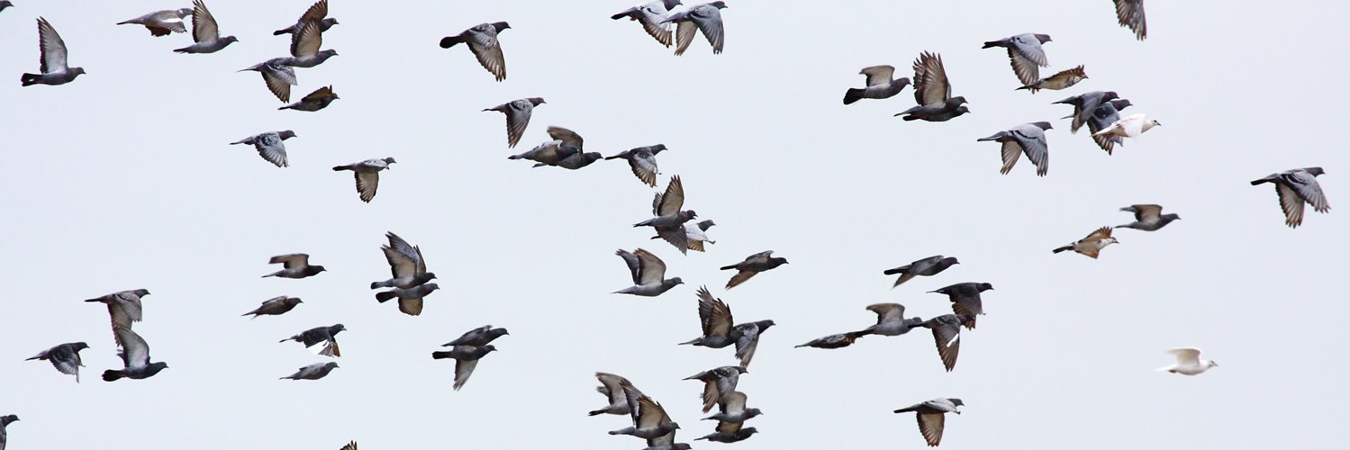 Gen. Stoolie Grigorovich J, Head of Space Division banner