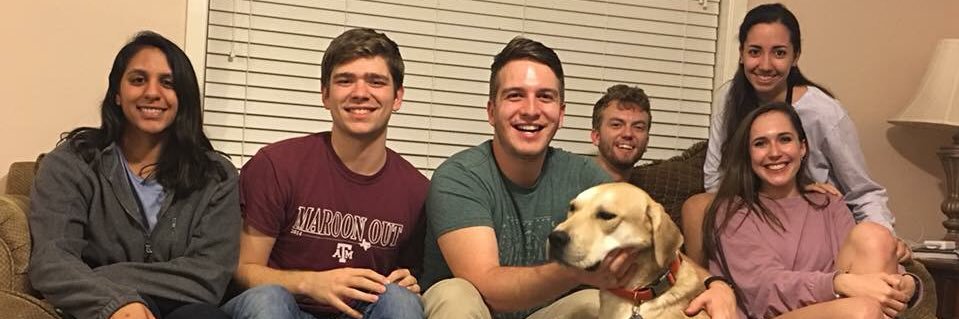 MessmannPaul's profile banner image