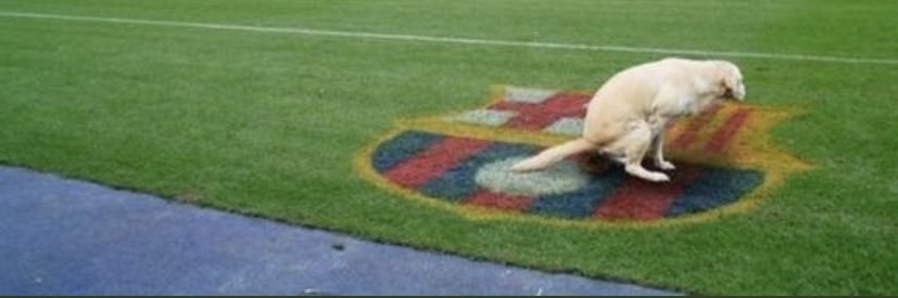 Anaïs Gadhaut banner