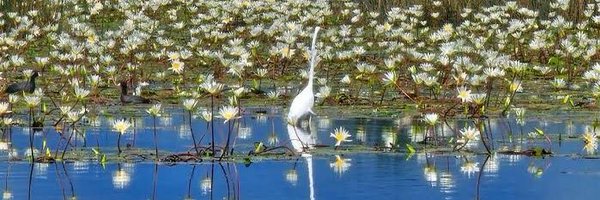 jdavidcamano Profile Banner