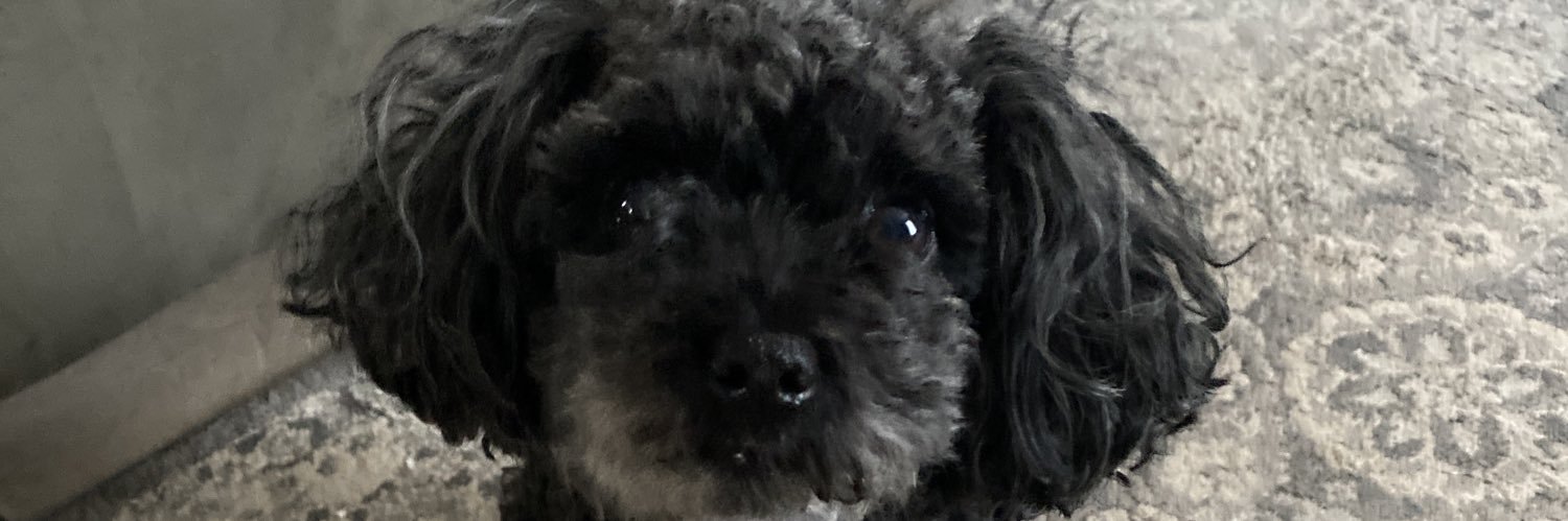jovanazavala's profile banner image