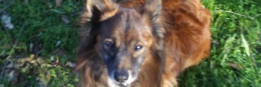 MatteoPapesow's profile banner image