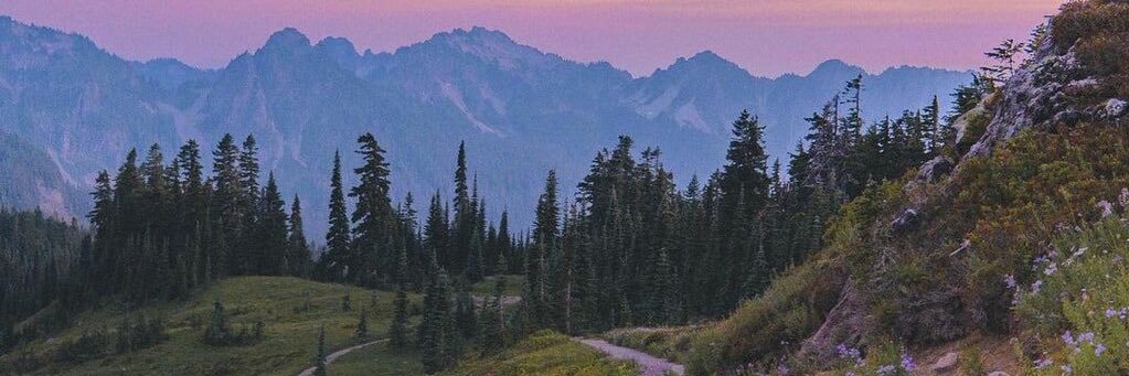 etherealvinn's profile banner image