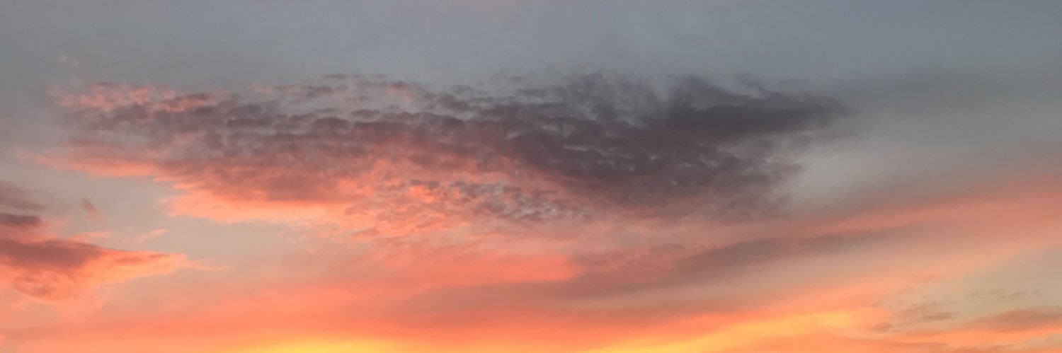 lilybenesh's profile banner image
