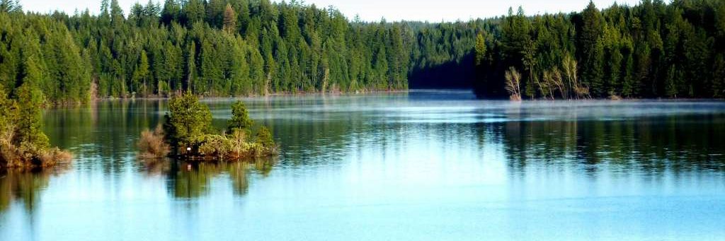 Paradise Irrigation District banner