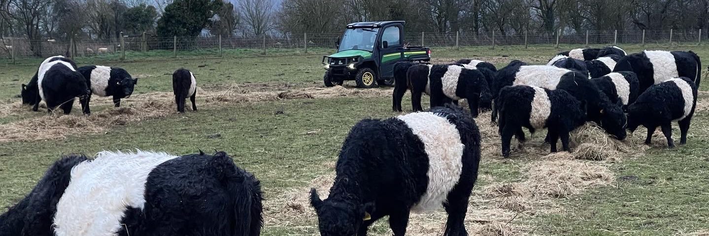 Denys C Shortt OBE banner