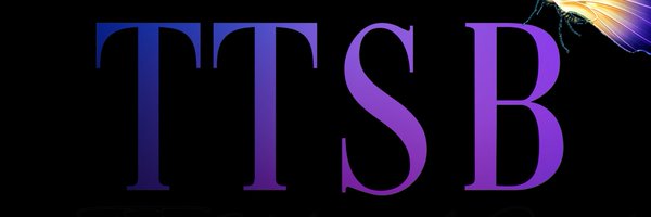 TT’s Stylez & Beauty Profile Banner