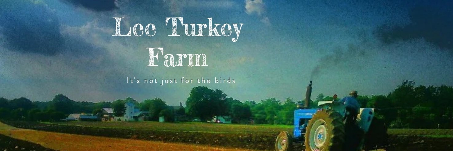 LeeTurkeyFarms's profile banner image