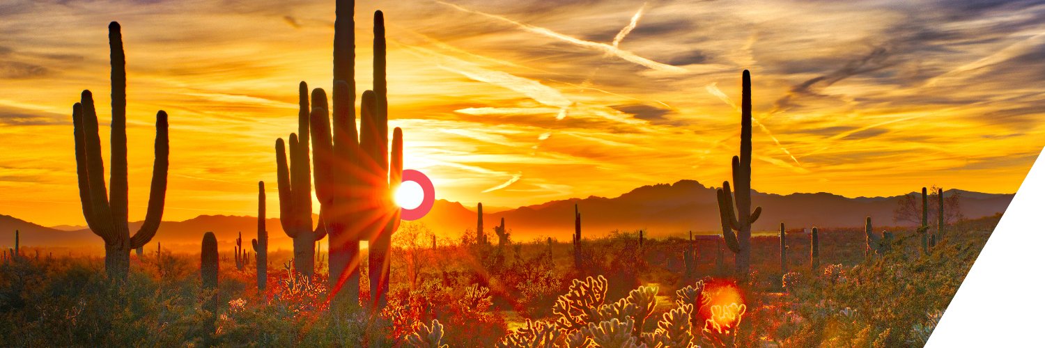 Arizona Opera banner