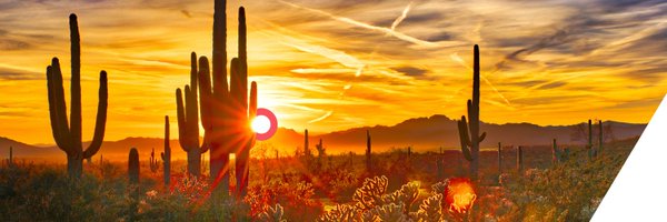 azopera Profile Banner