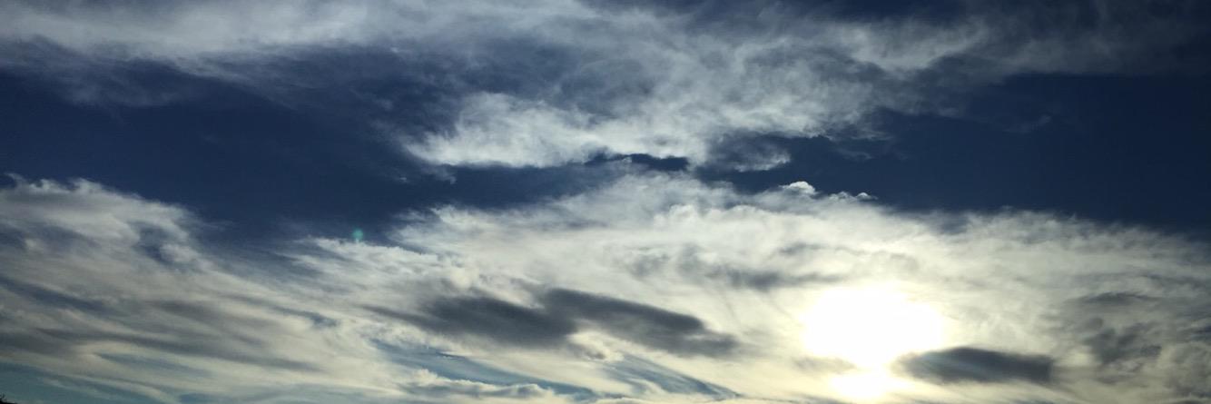 lizzykagan_'s profile banner image