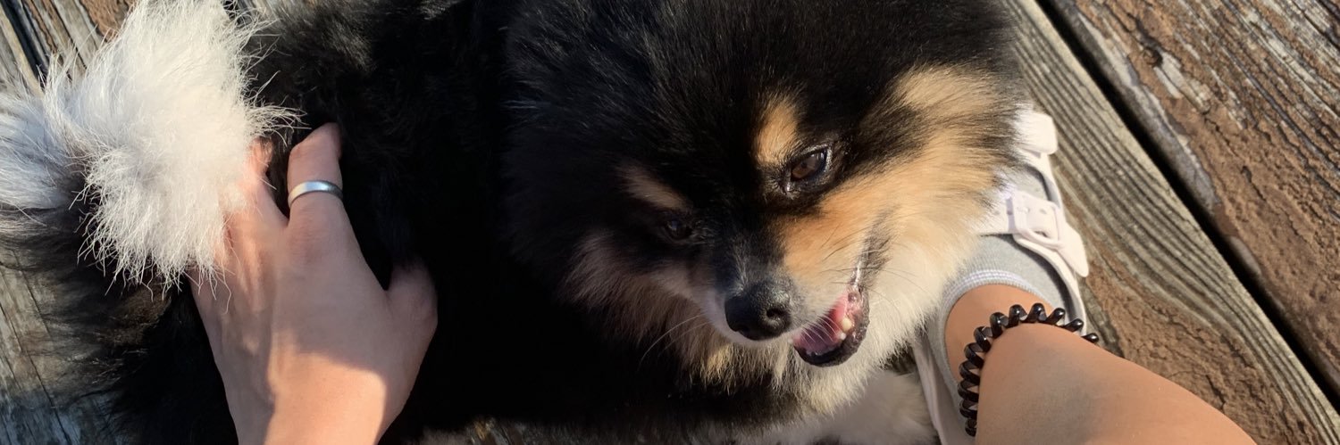 SheyannMichelle's profile banner image