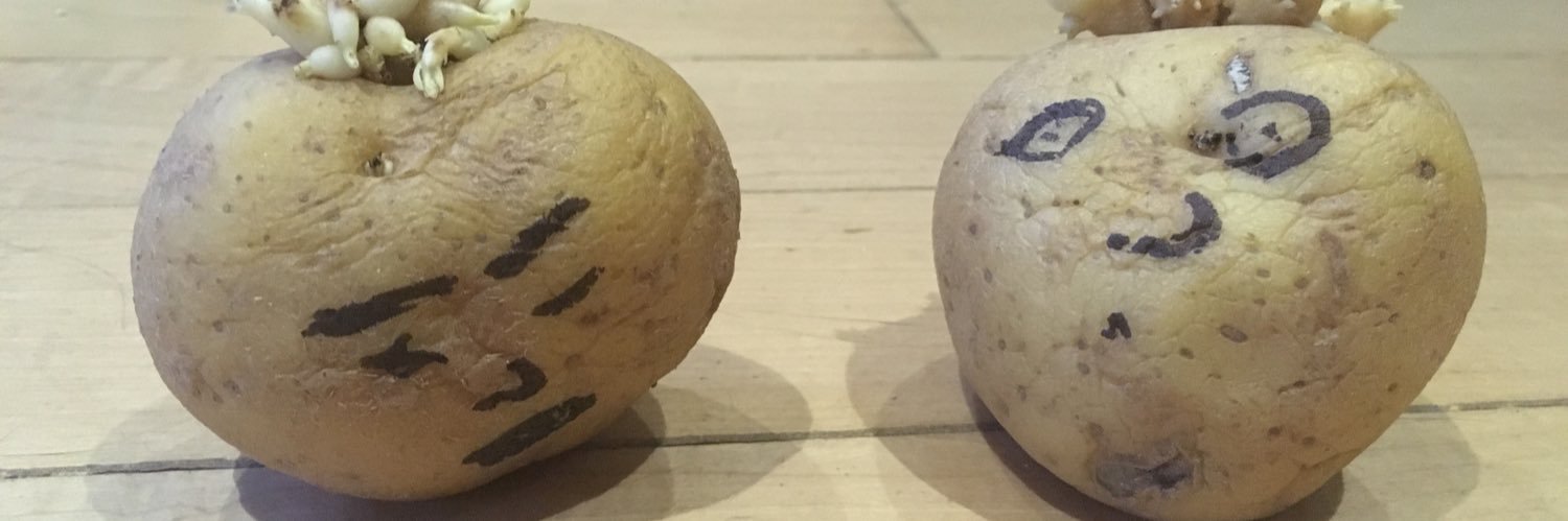 Kevin’s not here banner