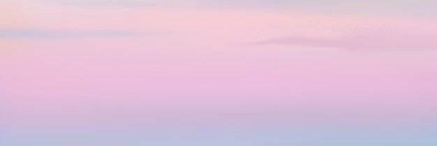 metacnoia's profile banner image