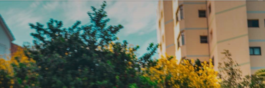 Meery_Contreras's profile banner image