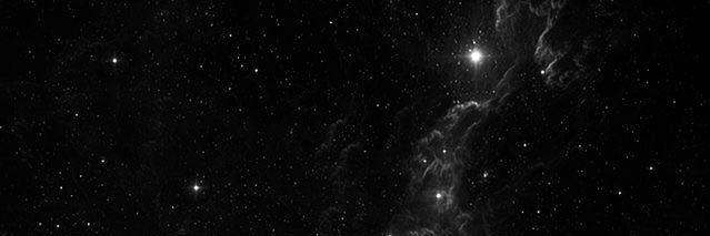 Delfiromos's profile banner image