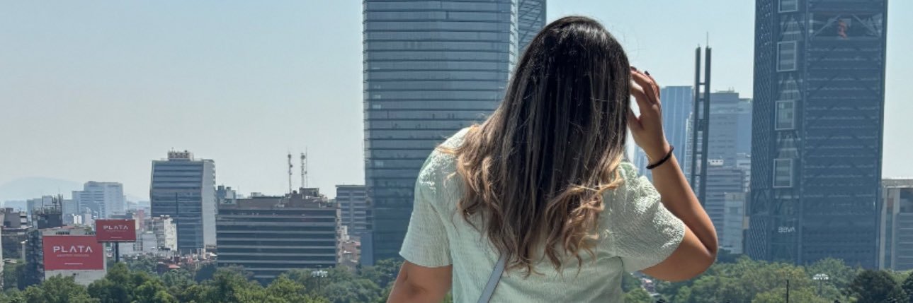 marceliera's profile banner image