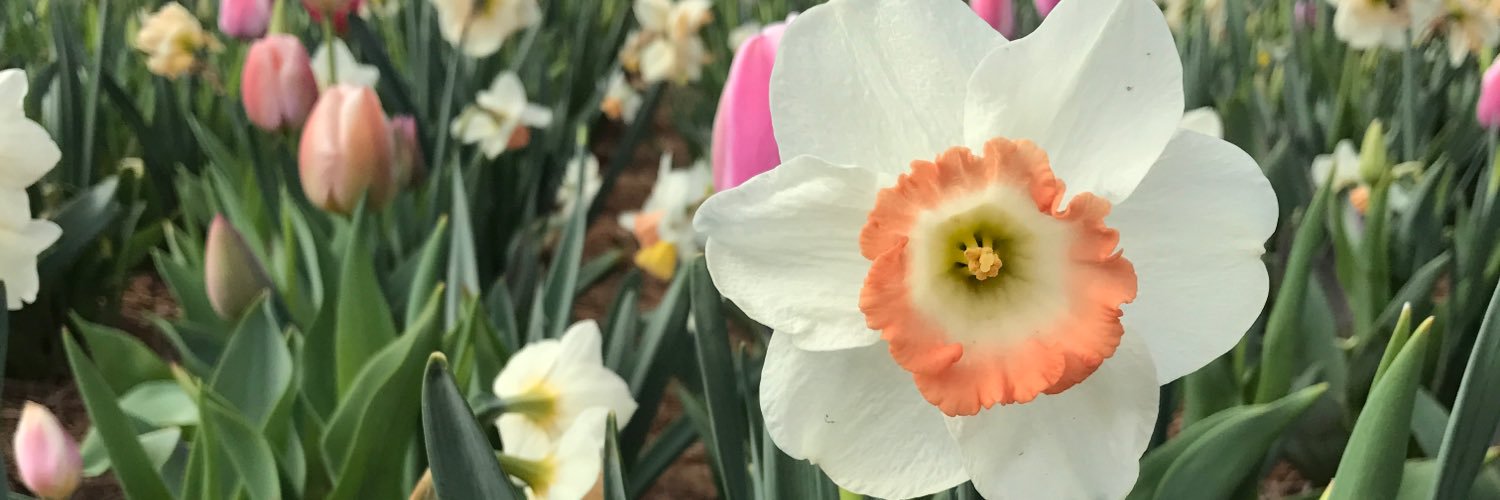 AnnahLord's profile banner image