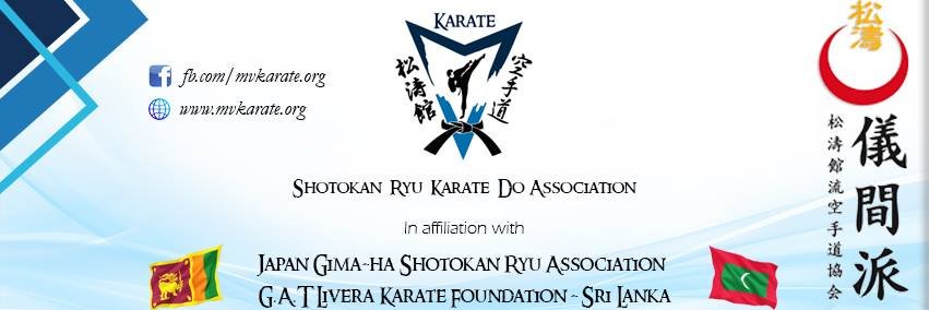 mv_karate's profile banner image