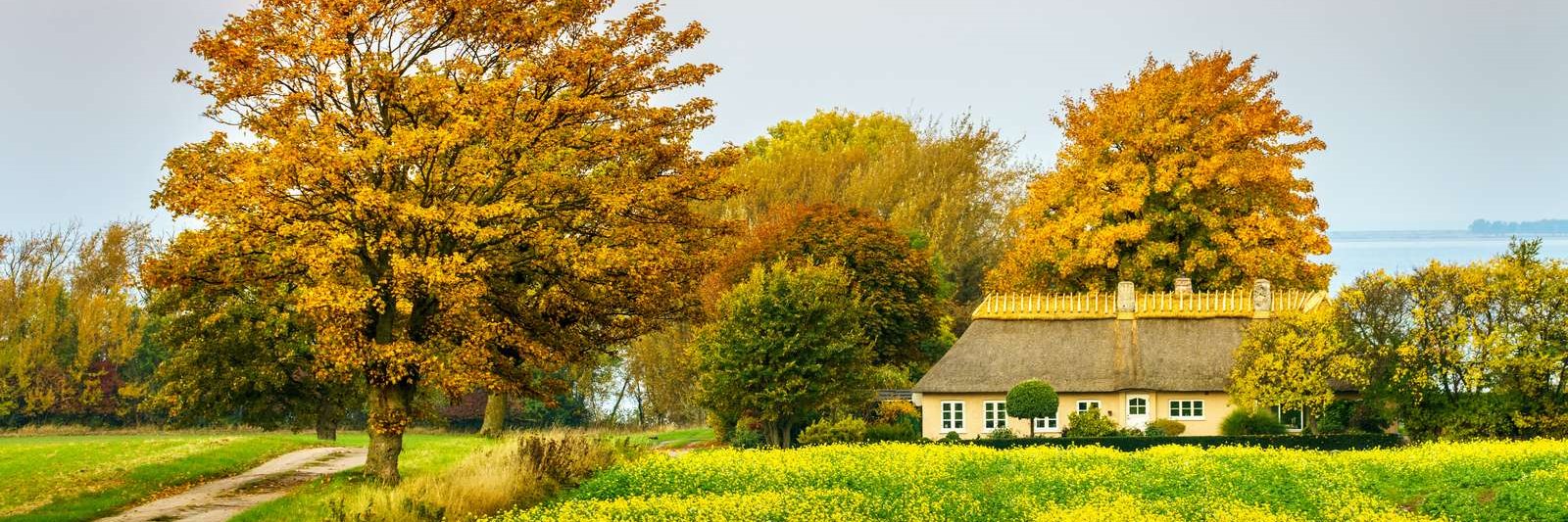 Vordingborg Kommune banner