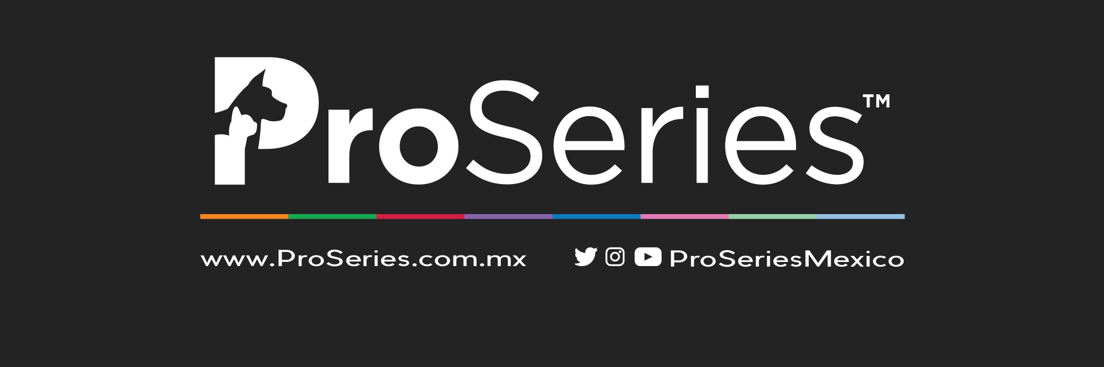 ProSeriesMexico's profile banner image