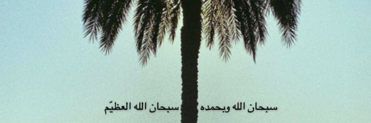 lvb5_t's profile banner image