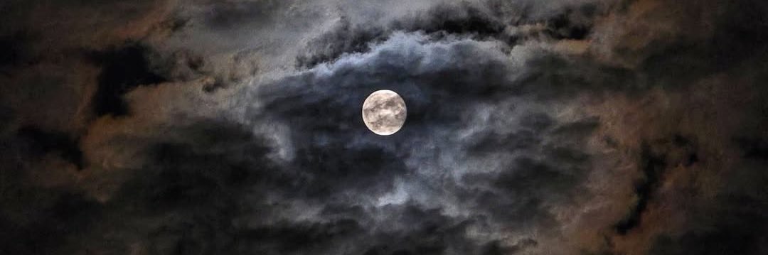CentauriCastro's profile banner image