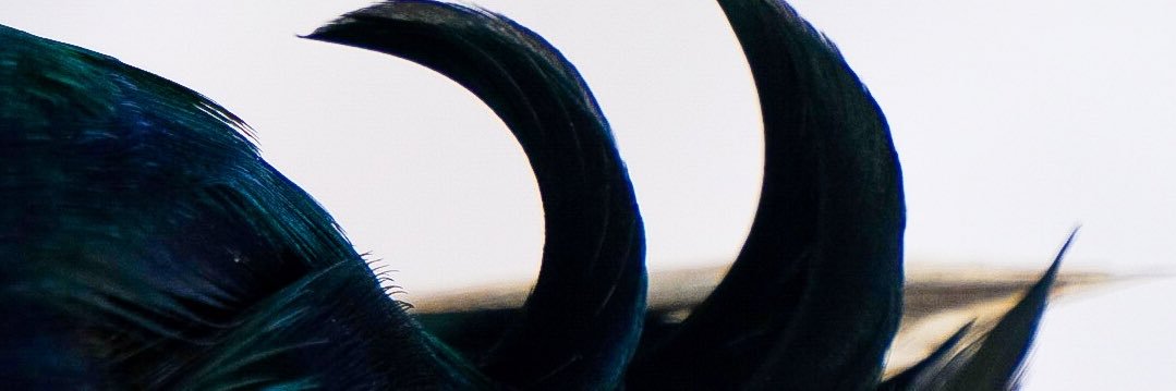 NathanCorder5's profile banner image