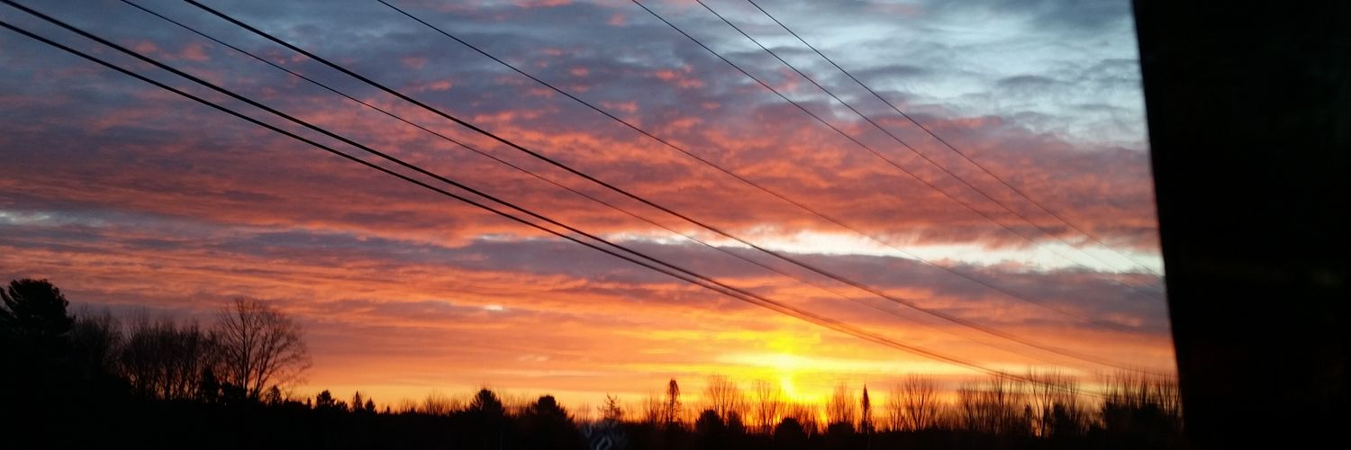 sarahgreener's profile banner image